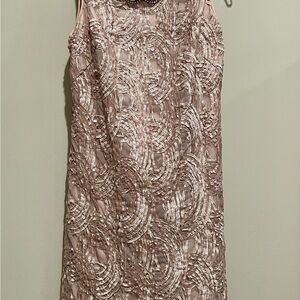 Adrianna Papell Blush Embroidered Mini Dress